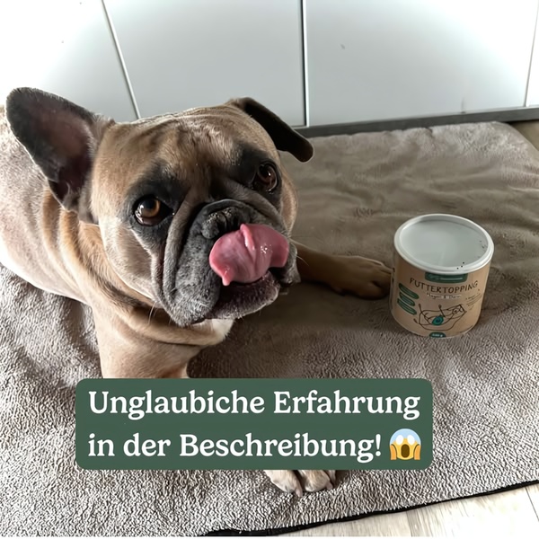 A close-up of a French Bulldog licking its lips next to a tub of pet supplement, featuring an curiosity-gap text overlay.